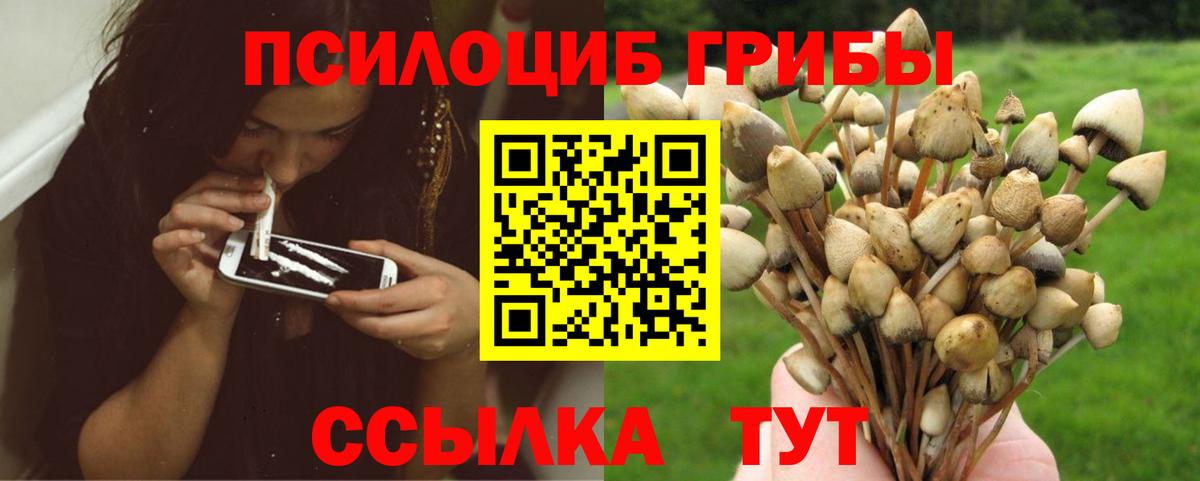 Коркино  Галлюциногенные грибы Cubensis  Вход с VPN 